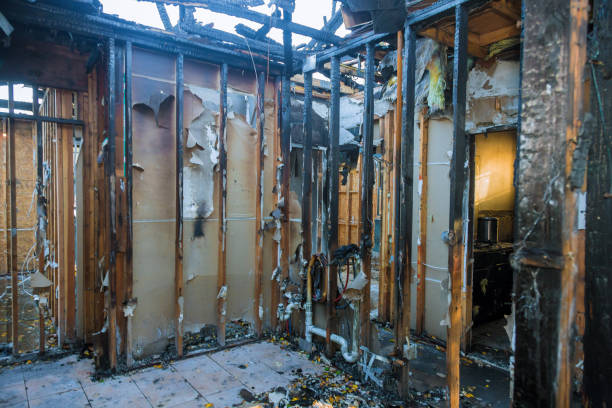Professional Fire Damage Repair technician working in Payson, IL